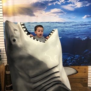 Meet your Posher, Rame